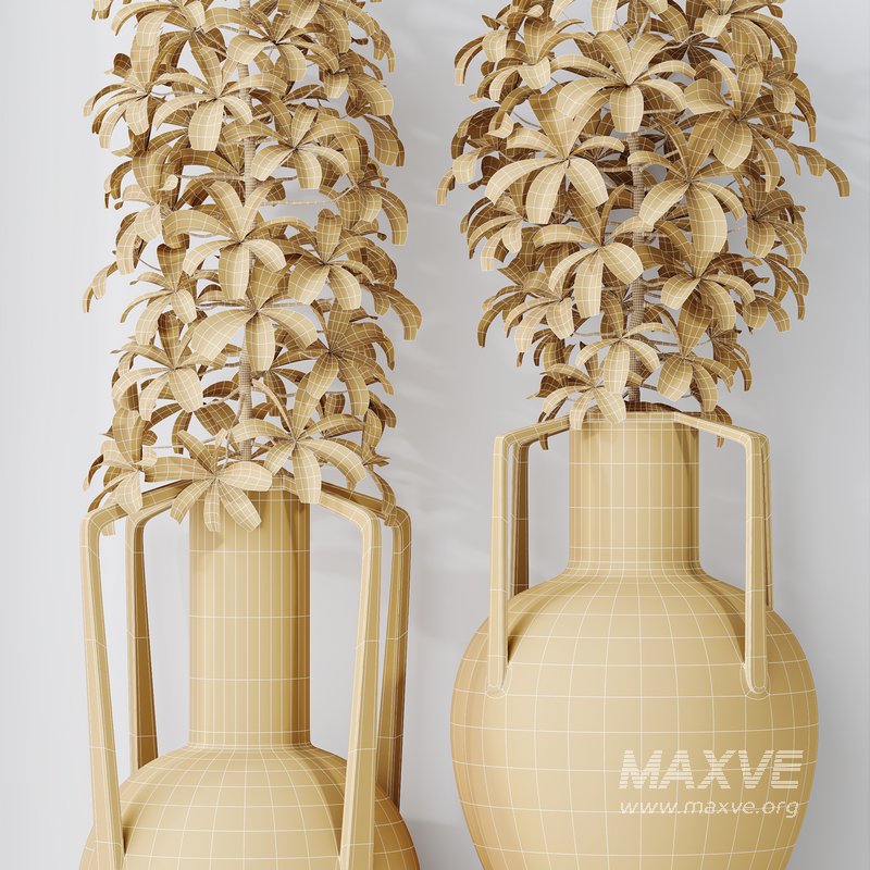 HQ HousePlants Schefflera Arboricola Umbrella Set04 - Image 5