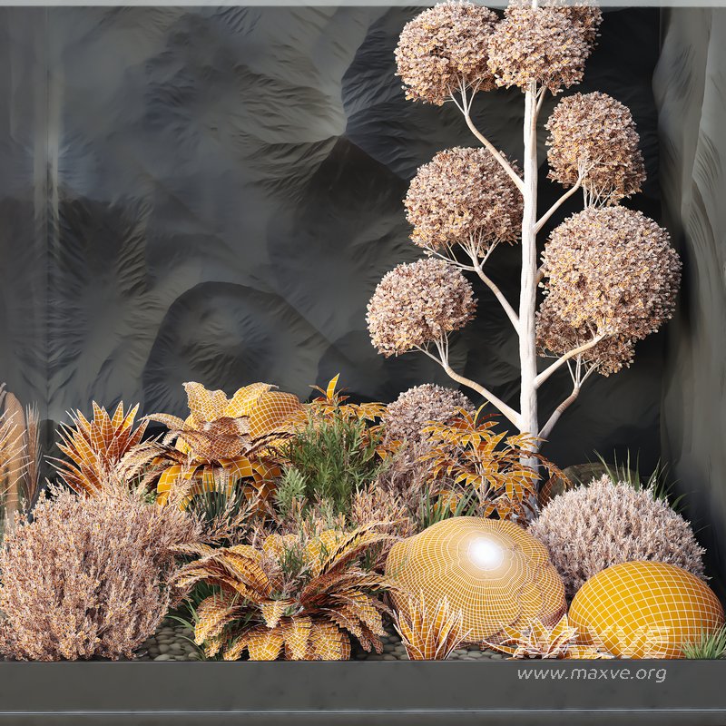 HQ Plants Indoor Set Box Glass03 - Image 5