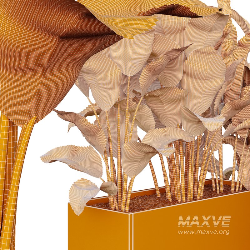 HQ Tree and bush garden box outdoor VOL 38 - Image 5