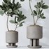 Elastica Abidjan Melany and Mission Olive Tree Vase 18 - Thumbnail 5