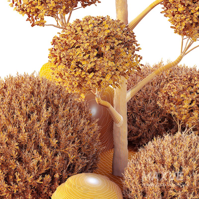 HQ Tree and bush garden box outdoor VOL 41 - Image 6