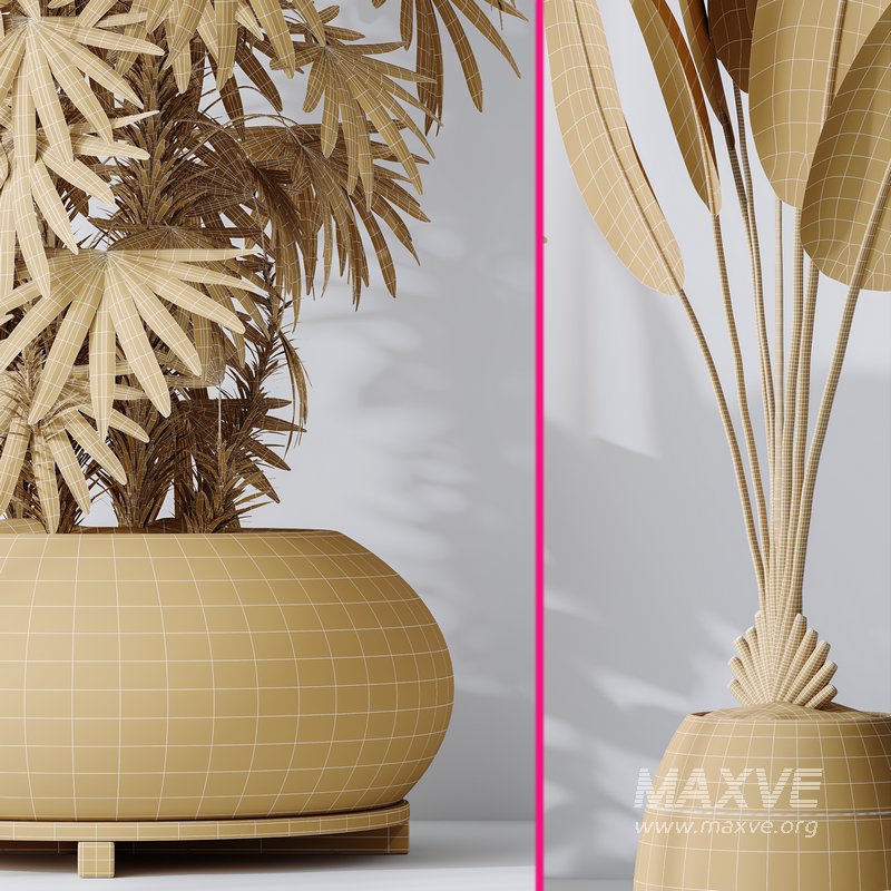 ParadiseBird and Rhapis Excelsa Lady Palm Vase 16 - Image 7