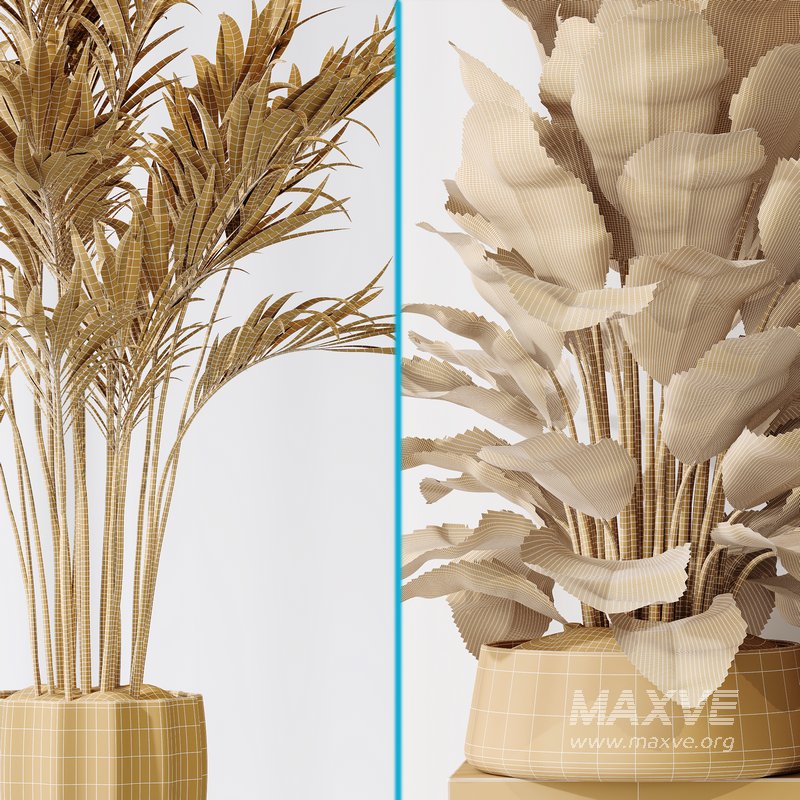 ParadiseBird and Areca Majesty Vase 14 - Image 7