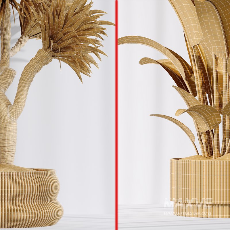 ParadiseBird and Elephantipes Gigantea Vase 08 - Image 7