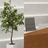Designing Reception Desk 01 - Thumbnail 4