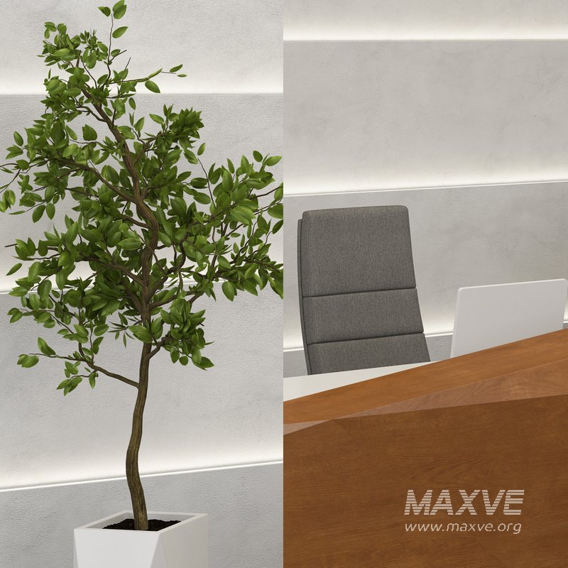 Designing Reception Desk 01 - Image 4