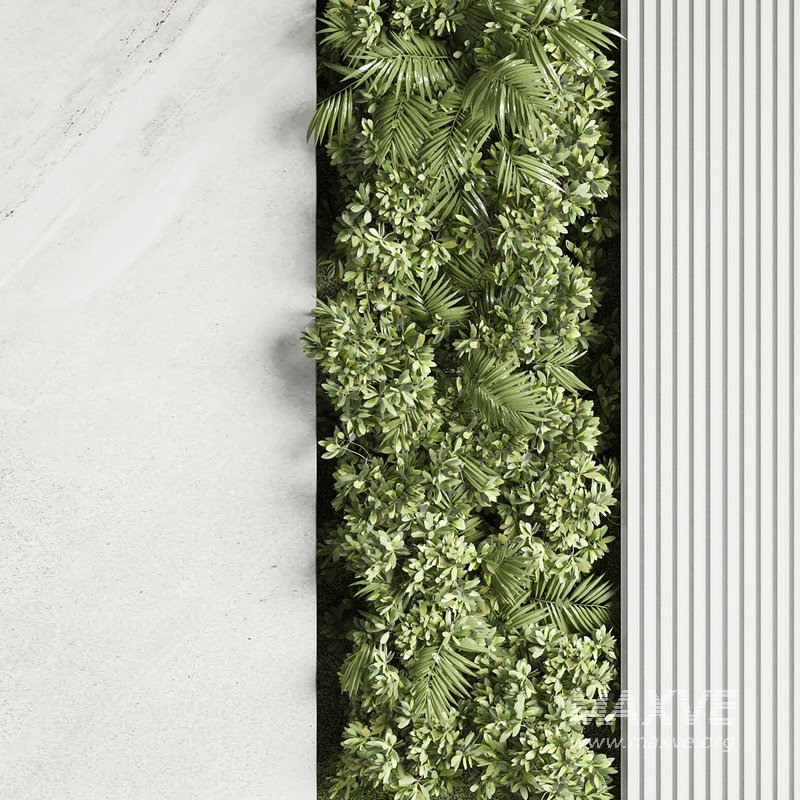 Green Wall 01 - Image 3