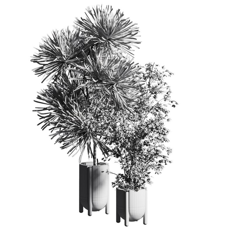 Indoor plant 06 - Image 4