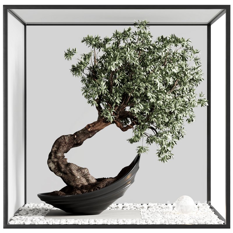 indoor plant set 22 - Image 1