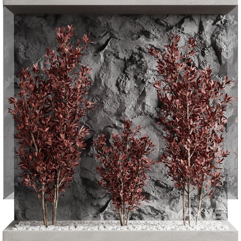 indoor plant set 18 - Image 1