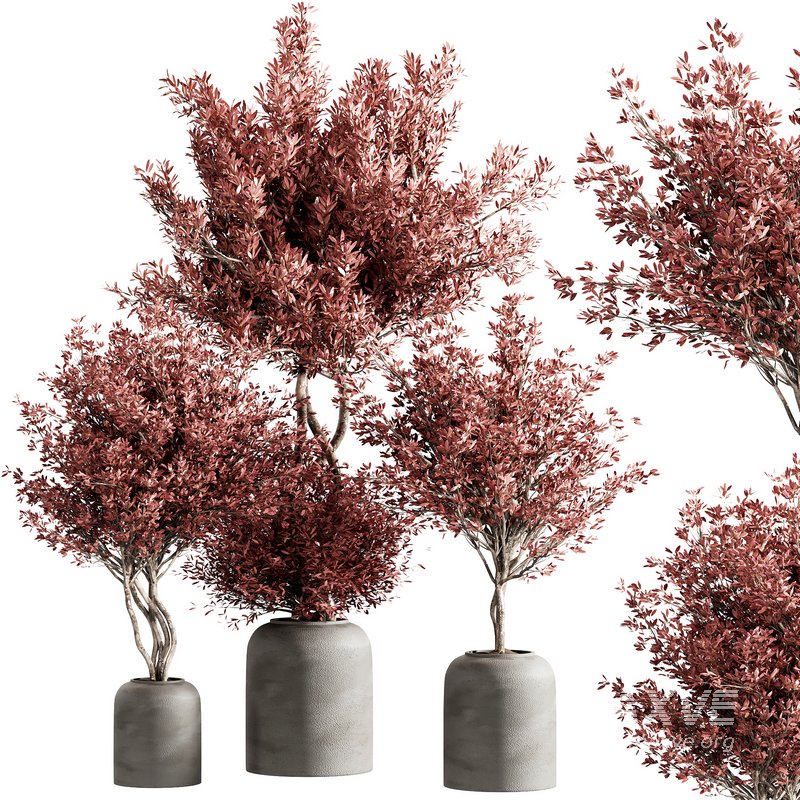 indoor plant set 21 - Image 1