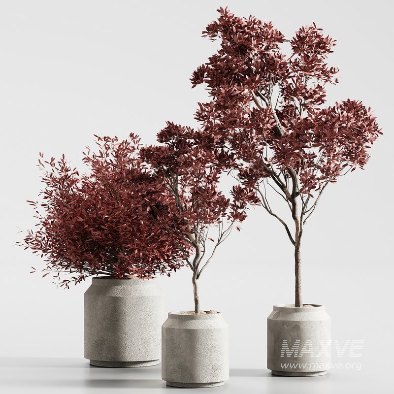 indoor plant set 13 - Image 2