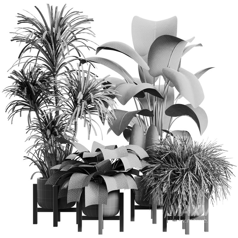 indoor plant set 26 - Image 2