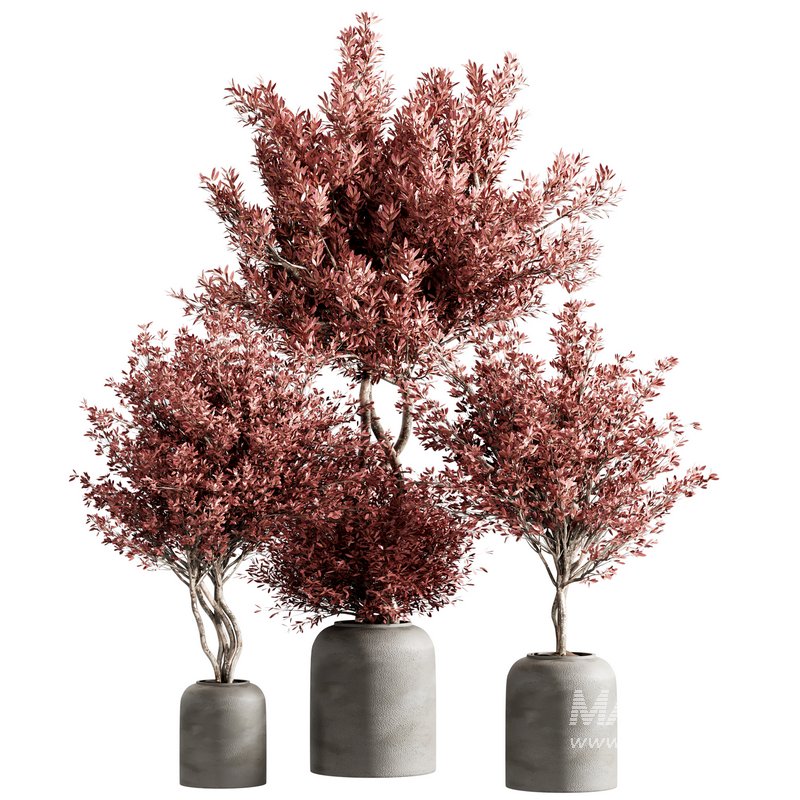 indoor plant set 21 - Image 4