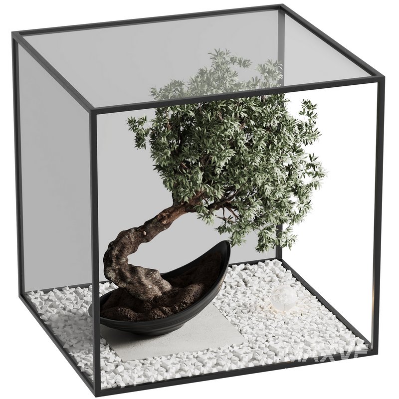 indoor plant set 22 - Image 2