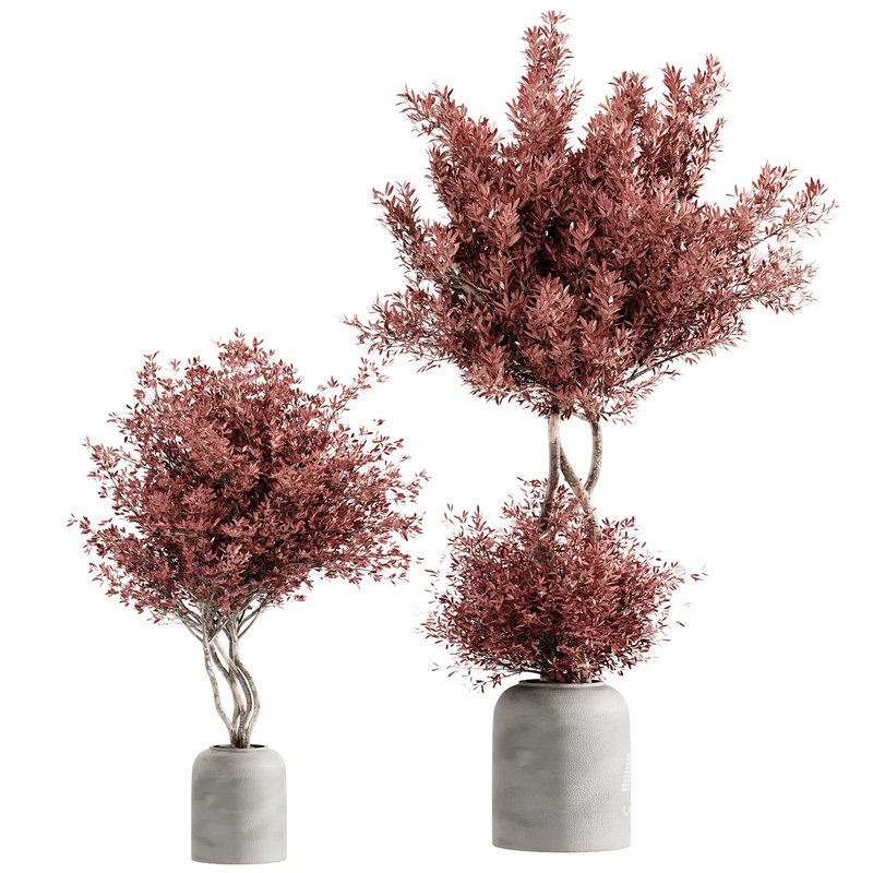 indoor plant set 21 - Image 3