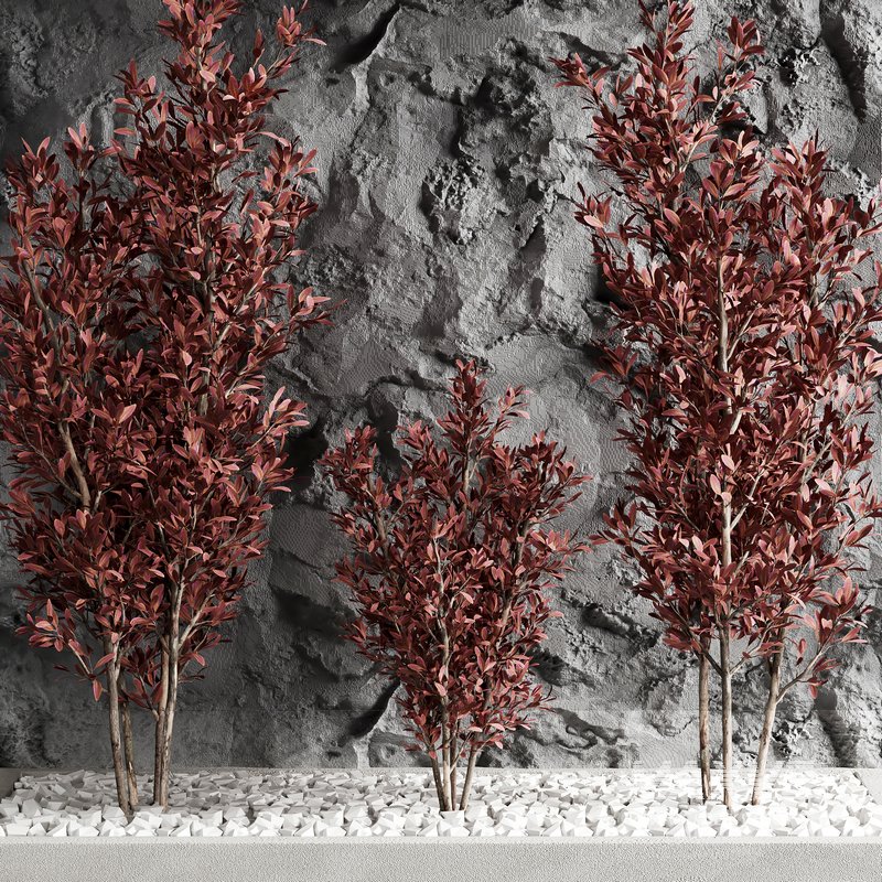 indoor plant set 18 - Image 2