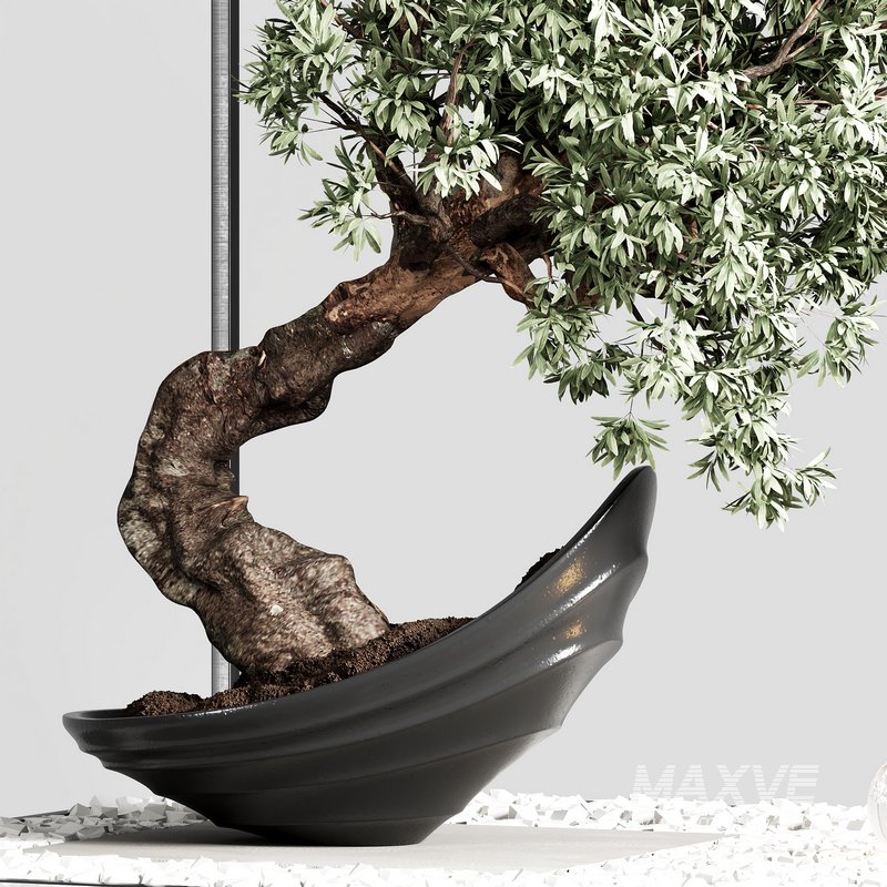 indoor plant set 22 - Image 3