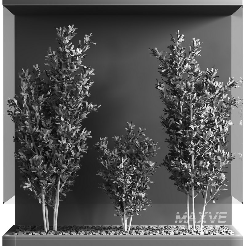 indoor plant set 18 - Image 3