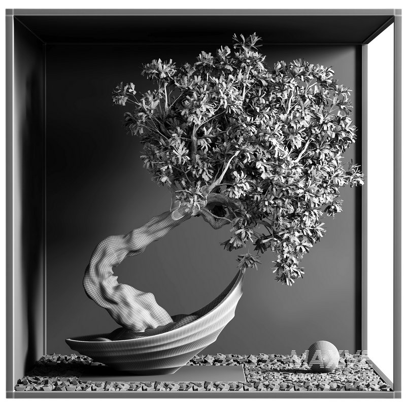 indoor plant set 22 - Image 4