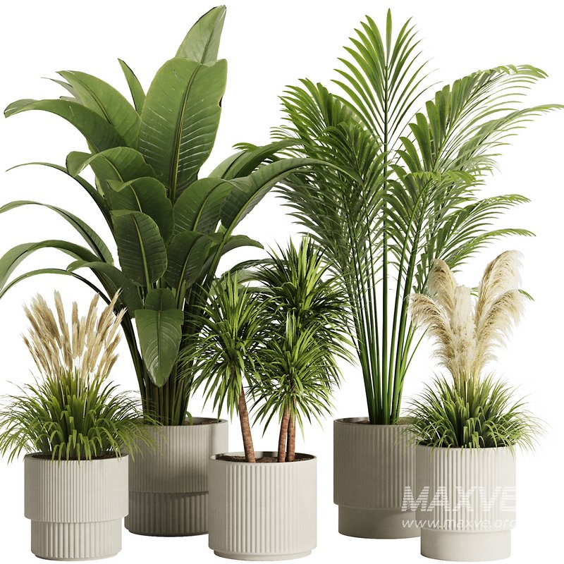 Indoor Plant Set50 - Image 1
