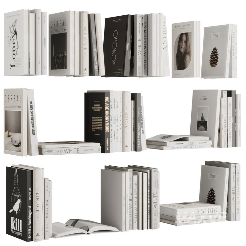 Set of Books V1 - Image 1