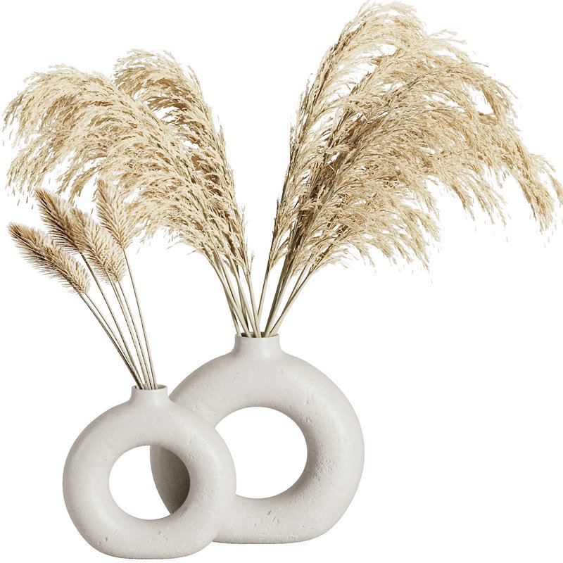 Indoor Plant Pampas Set2 - Image 1