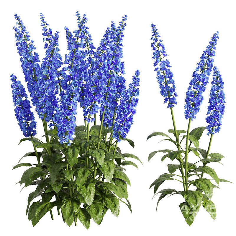 Flower Bush Set2 - Image 1