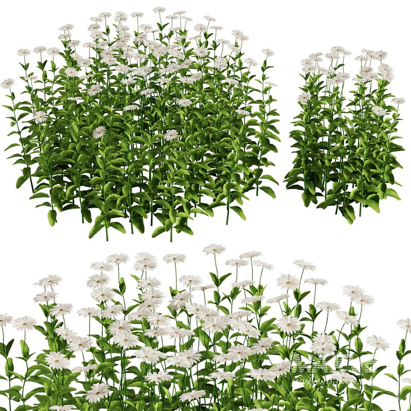 Flower Bush Set1 - Image 1