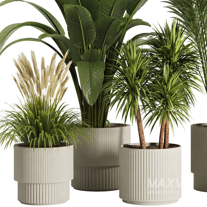 Indoor Plant Set50 - Image 2