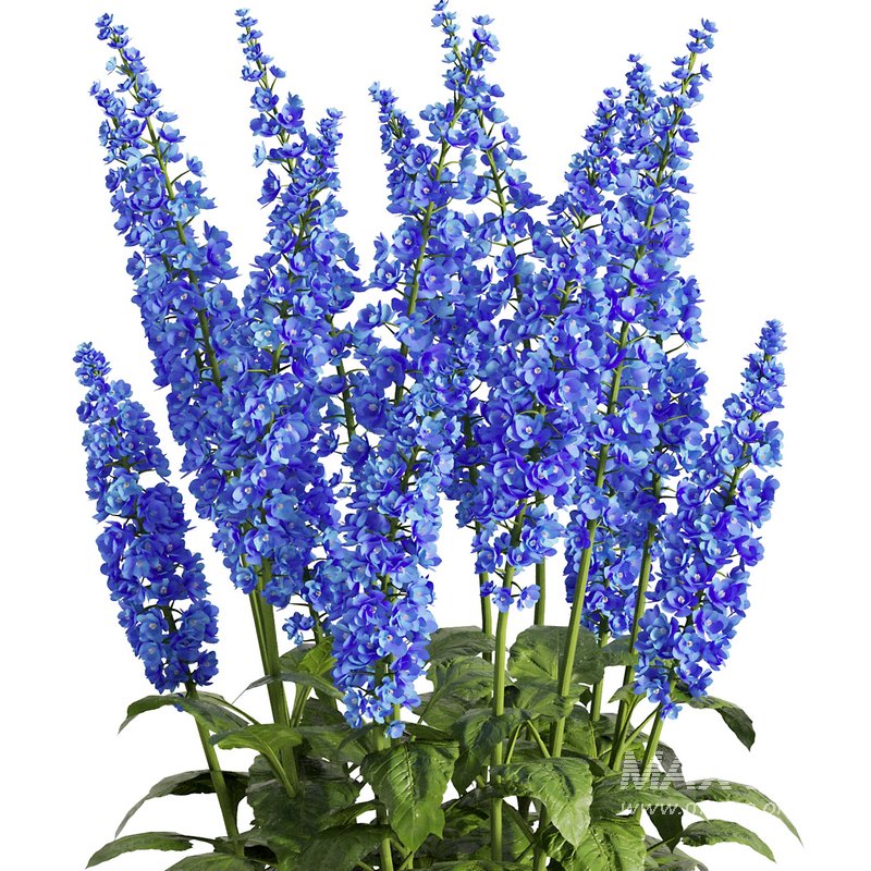 Flower Bush Set2 - Image 2