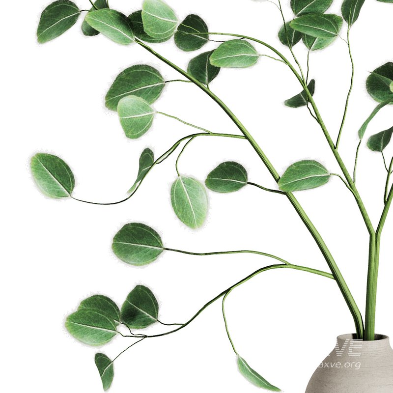 Dry Branches Bouquet25 - Image 2