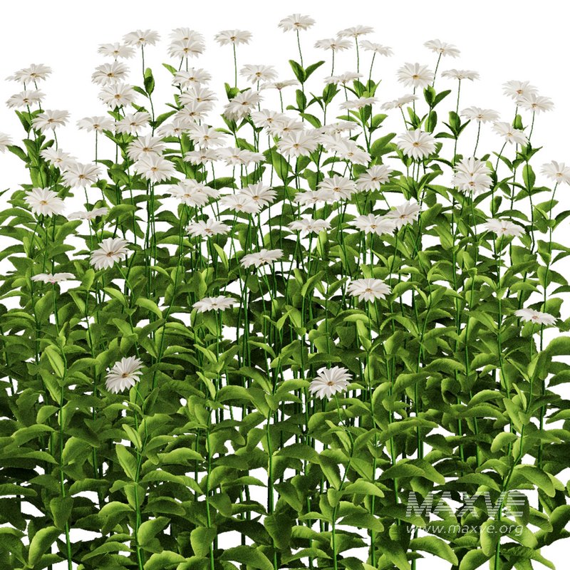 Flower Bush Set1 - Image 3