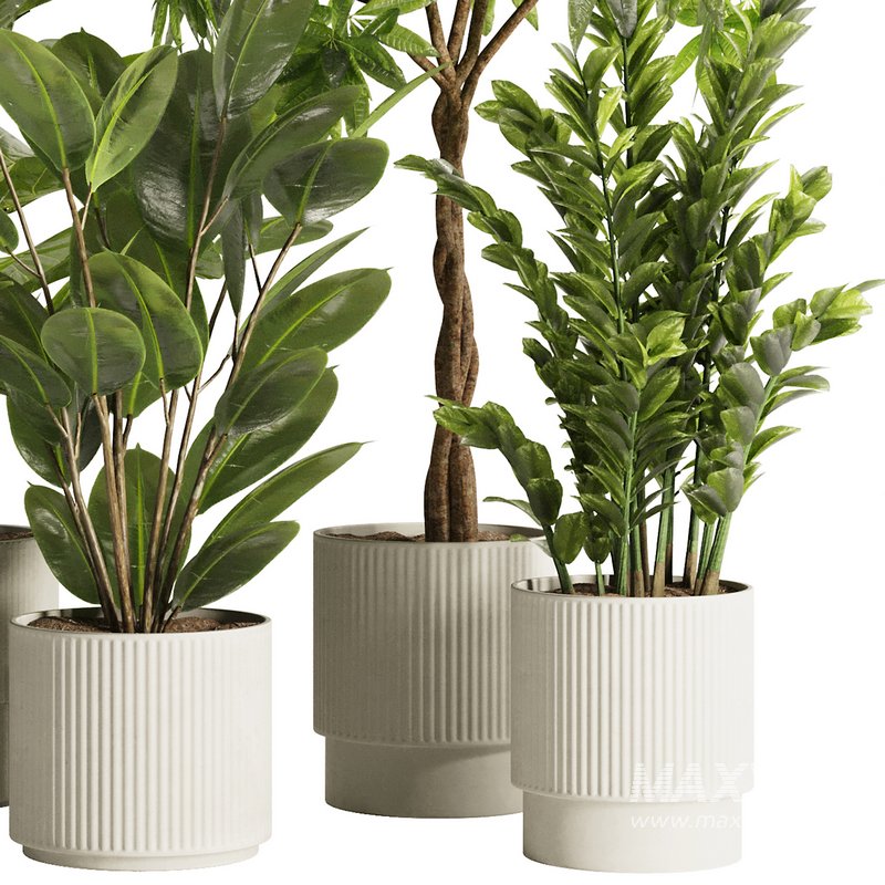 Indoor Plant Set48 - Image 2