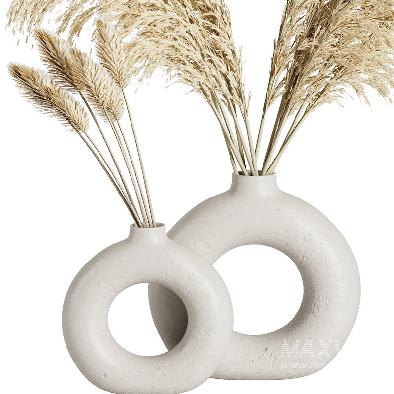 Indoor Plant Pampas Set2 - Image 2