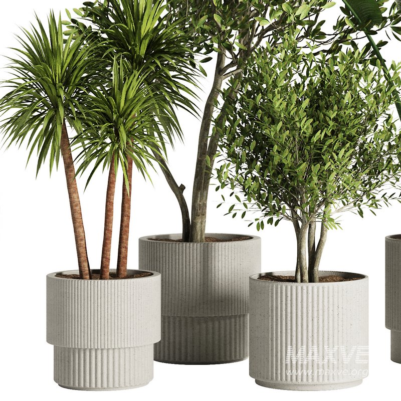 Indoor Plant Set46 - Image 2