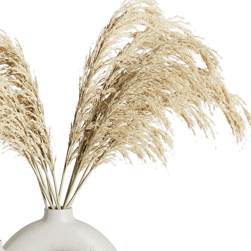 Indoor Plant Pampas Set2 - Image 4