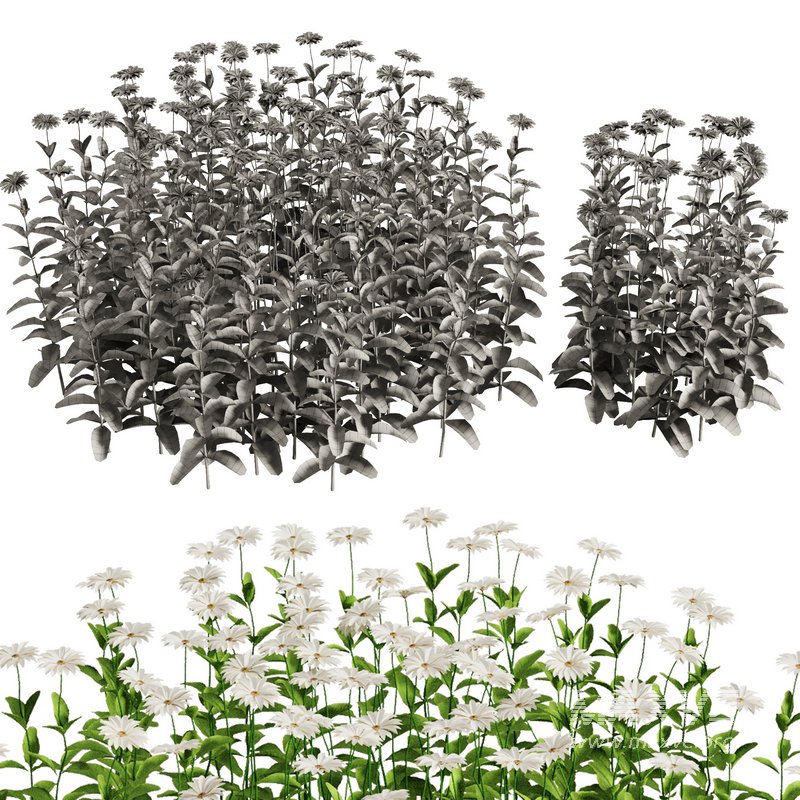 Flower Bush Set1 - Image 2