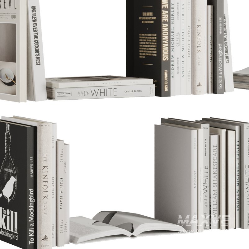 Set of Books V1 - Image 3