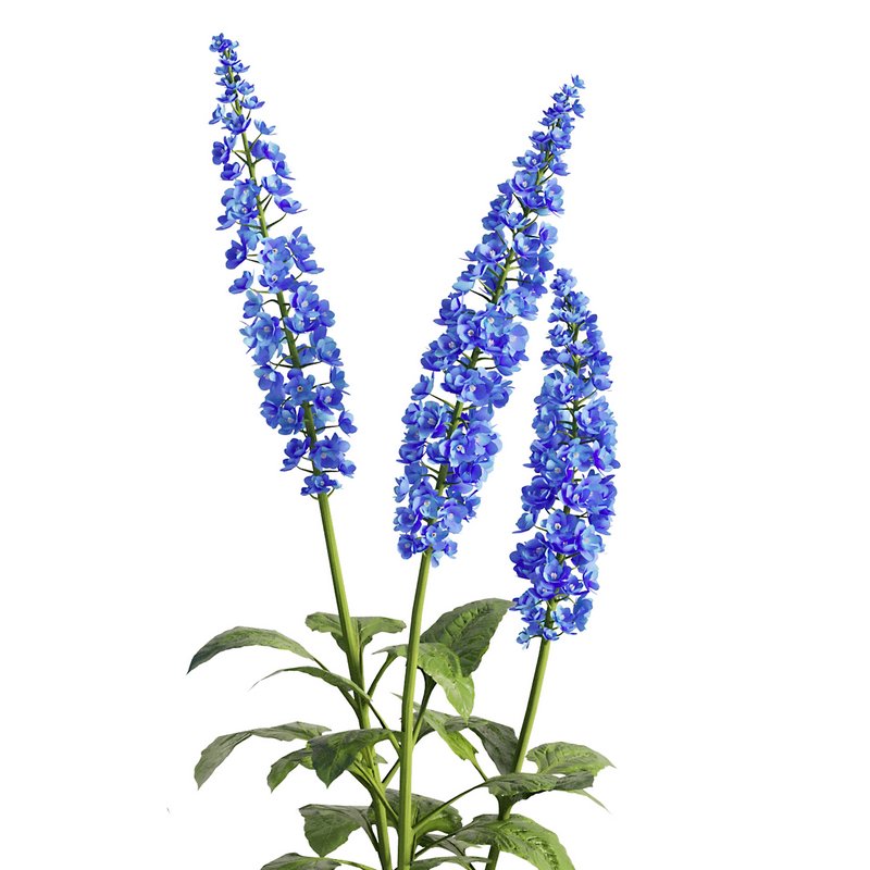 Flower Bush Set2 - Image 4