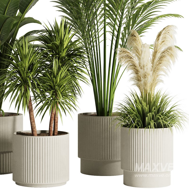 Indoor Plant Set50 - Image 3