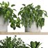 Plants on Shelf SetV8 - Thumbnail 4