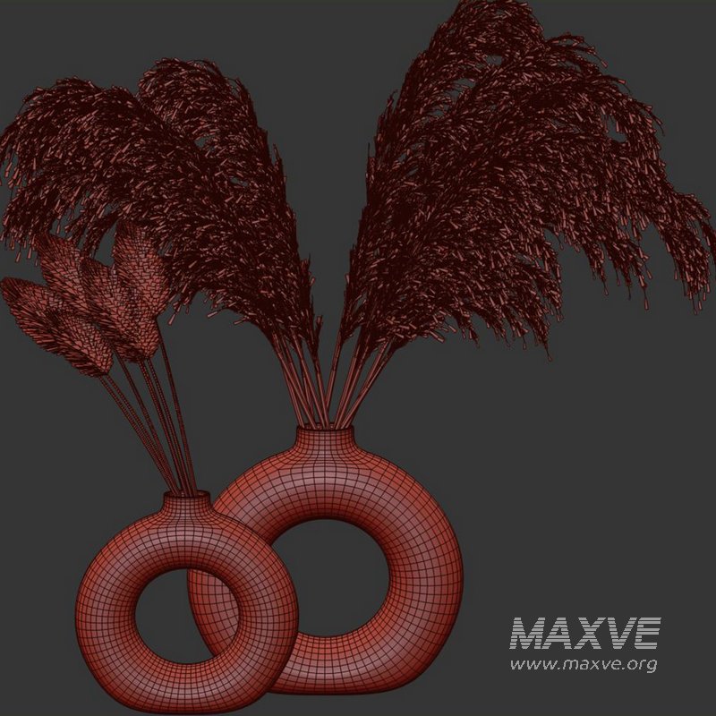 Indoor Plant Pampas Set2 - Image 3