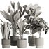 Indoor Plant Set47 - Thumbnail 5