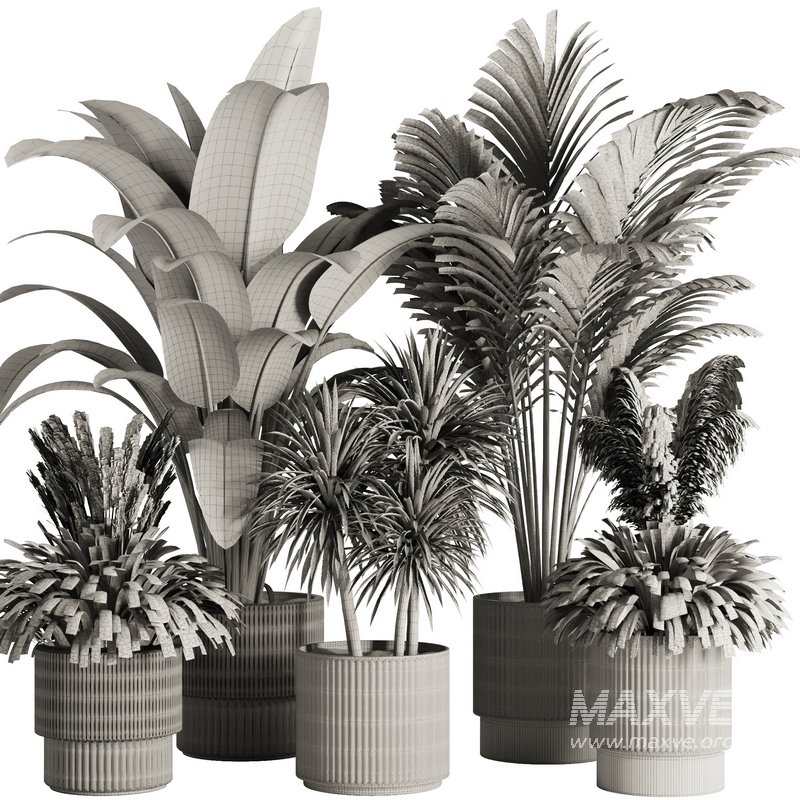 Indoor Plant Set50 - Image 5