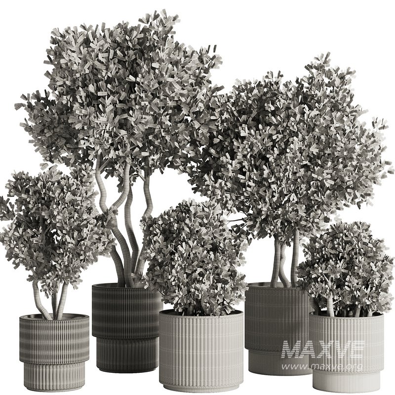 Indoor Plant Set53 - Image 3