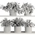 Plants on Shelf SetV8 - Thumbnail 5