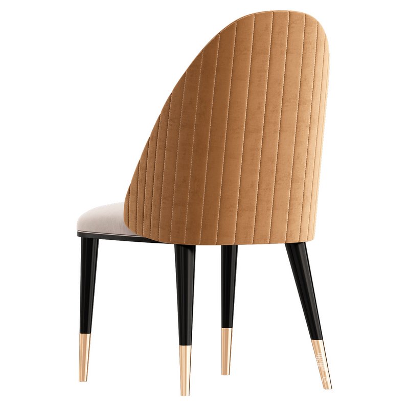 Capital Collection DIVA S B - Image 2