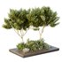HQ Tree and bush garden box outdoor VOL 46 - Thumbnail 1
