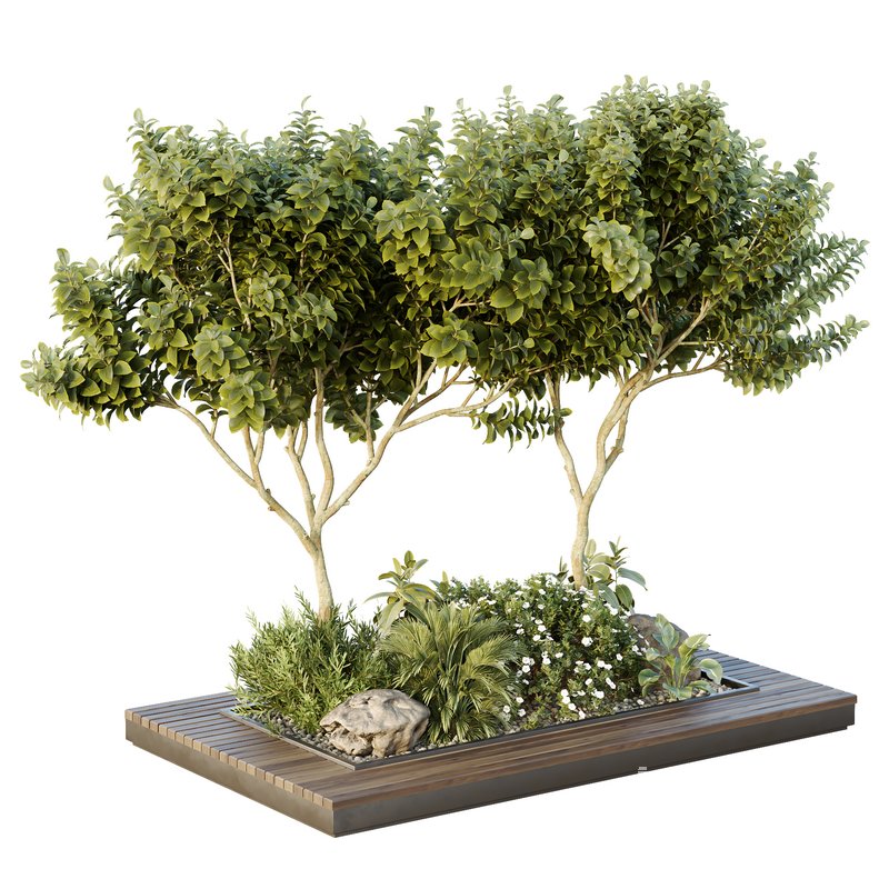 HQ Tree and bush garden box outdoor VOL 46 - Image 1